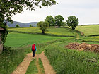 sch�ner Weg