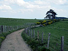 Feldweg