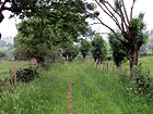 Wiesenweg