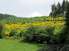 Landschaft