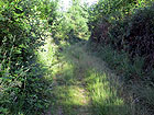 Wiesenweg