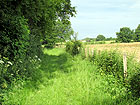 Wiesenweg