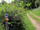 Weg