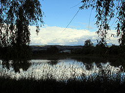 Weiher