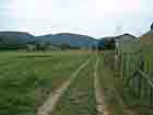 pure Natur pure Natur