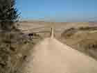 Weg vor St. Dominco de la Calzada