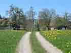 Weg vor Münchwilen Weg vor Münchwilen