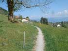 Weg vor Gais Weg vor Gais