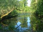 Naturschutzgebiet Naturschutzgebiet