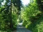 vor St. Gallen vor St. Gallen