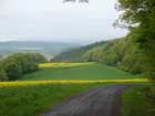 Jakobsweg bei Bad Kissingen Jakobsweg bei Bad Kissingen