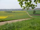Weg bei Gussenstadt Weg bei Gussenstadt