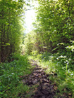 Schöner Weg vor Lonsee Schöner Weg vor Lonsee