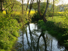 Bachlauf Lon vor Lonsee Bachlauf Lon vor Lonsee
