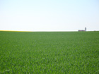 Vor Schemmerberg