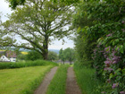 Weg nach Engenreute