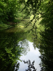 schner Weg vor Weingarten