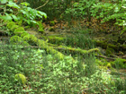 am schnen Weg vor Weingarten