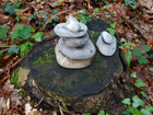 Steinmannli