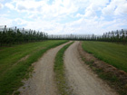Weg bei Unterteuringen Weg bei Unterteuringen