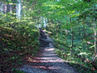 Schöner Waldweg vor St. Leonhard Schöner Waldweg vor St. Leonhard