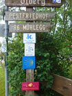 Wegweiser in Rottenbuch Wegweiser in Rottenbuch