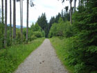 Weg vor der Wiesenkirche Weg vor der Wiesenkirche