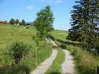 schöner Weg bei Bernbeuren schöner Weg bei Bernbeuren