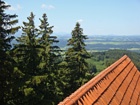 Aussicht vom Kirchturm Aussicht vom Kirchturm