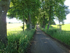 Allee vor Marktoberdorf Allee vor Marktoberdorf