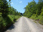 Langer Weg im Kempter Wald