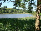 Bachtelweiher
