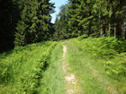 Auf dem Sonneckgrat