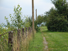 Blick zum Bodensee auf der Weissensberger Halde