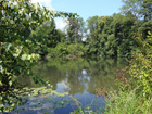 Weiher am Jakobsweg nach St. Gallen