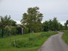 Weg vor Gottlieben Weg vor Gottlieben