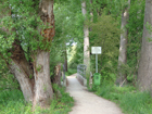 Weg vor Gottlieben Weg vor Gottlieben
