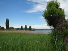 Blick auf Untersee Blick auf Untersee