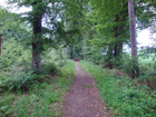 Weg vor Hegne