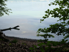Blick auf berlinger See
