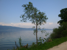 Blick auf berlinger See