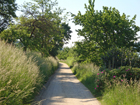 schöner Weg vor Sipplingen schöner Weg vor Sipplingen