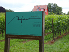 Weingut Weingut