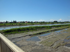 Rheinbrücke bei Fussach Rheinbrücke bei Fussach
