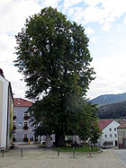 Linde Linde