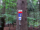 Markierung Markierung