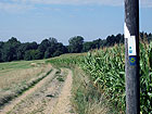 Feldweg Feldweg