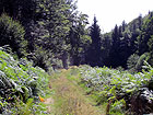 schöner Weg schöner Weg