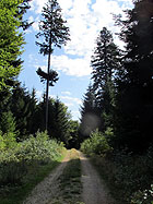 schöner Weg schöner Weg