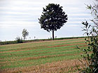 Feld Feld